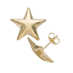 Au Naturale 14k Gold Star Stud Earrings