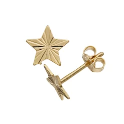 Au Naturale 14k Gold Textured Star Stud Earrings